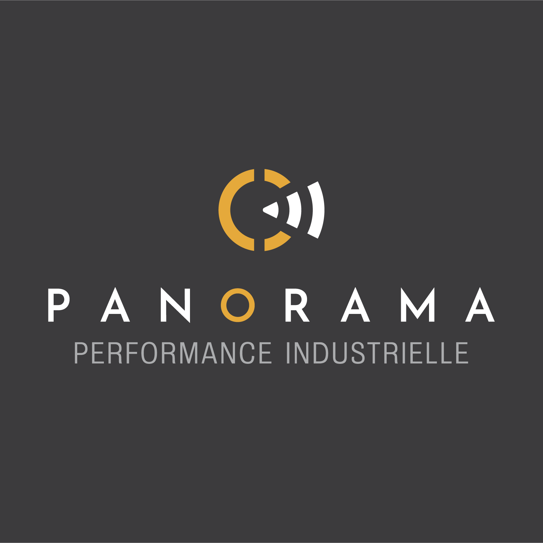 Logo panorama Gris